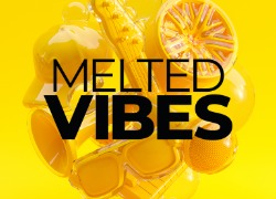 Native Instruments Melted Vibes